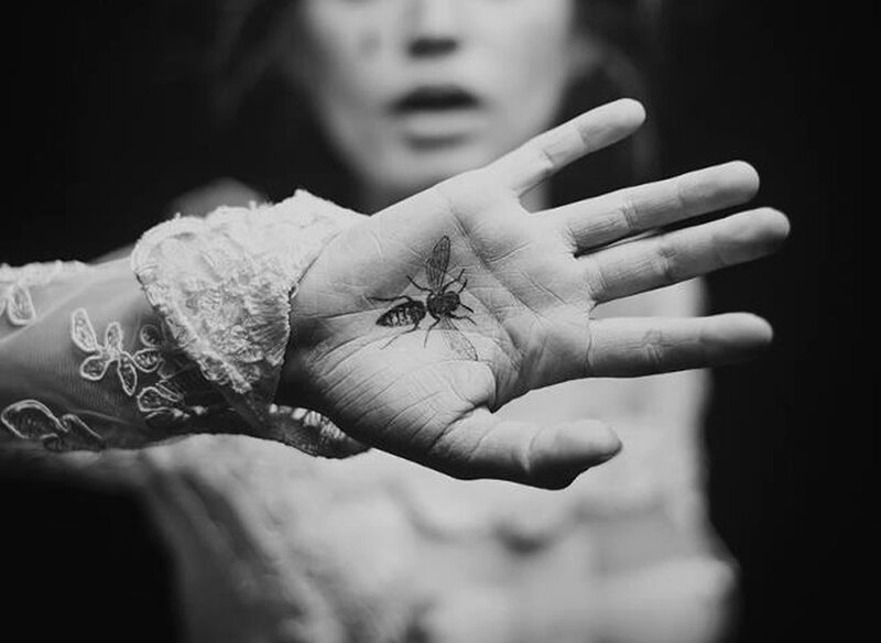 Bee on a Hand