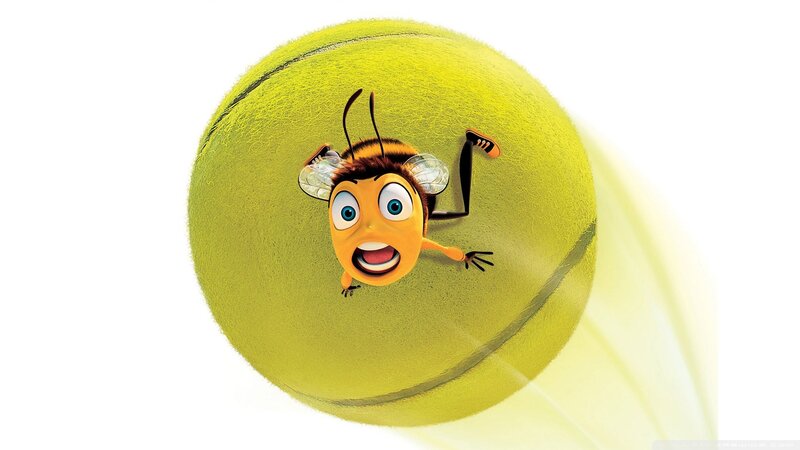 bee on a tennis ball