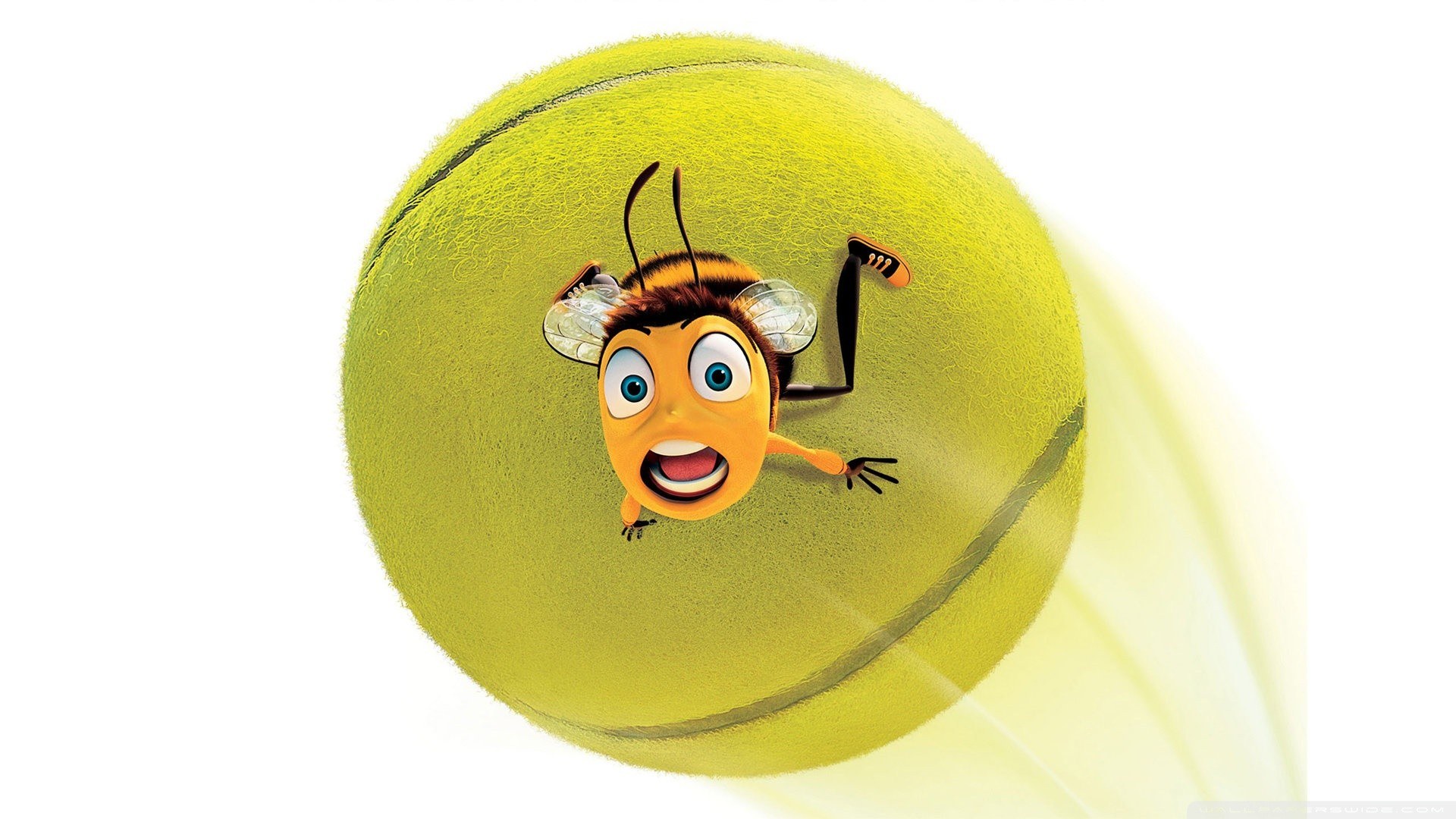 bee on a tennis ball