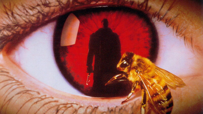 Bee on an Eye