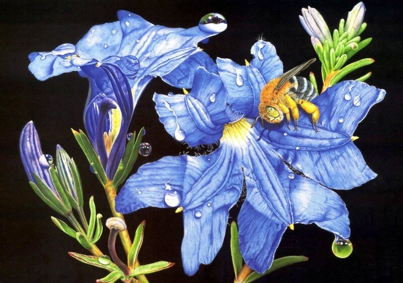 Bee on Blue Flower — Dramatic