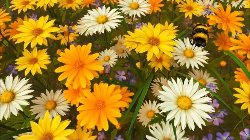 Bee on Flowers