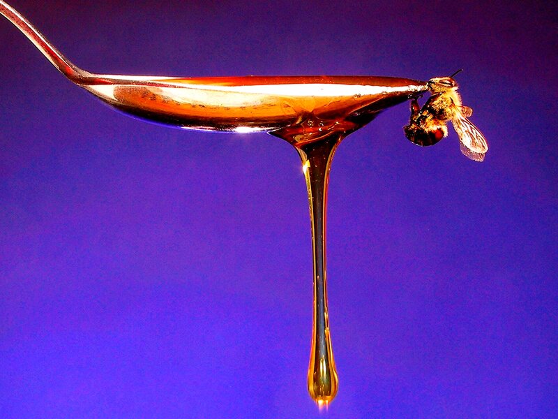 Bee on Honey Spoon — Purple
