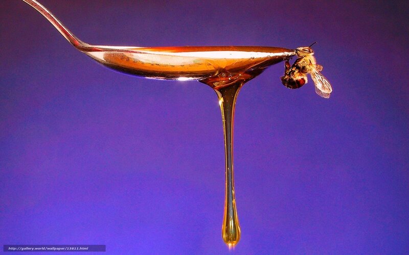 bee on honey spoon