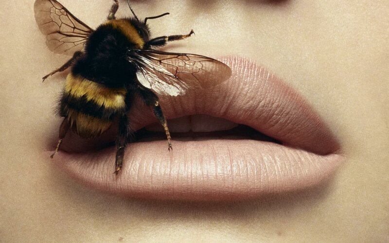 Bee on Human Lips — Pink