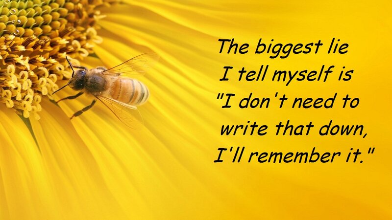 Bee on Sunflower — Yellow, Calm, Afternoon, Photograph, Text