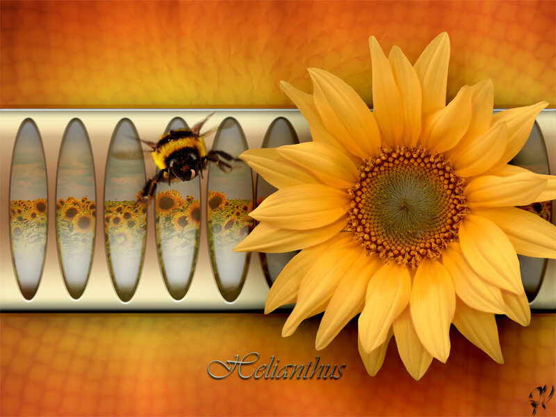 Bee on Sunflower — Yellow, Warm
