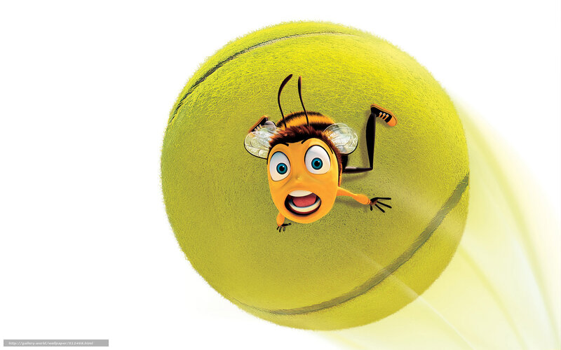 bee on tennis ball