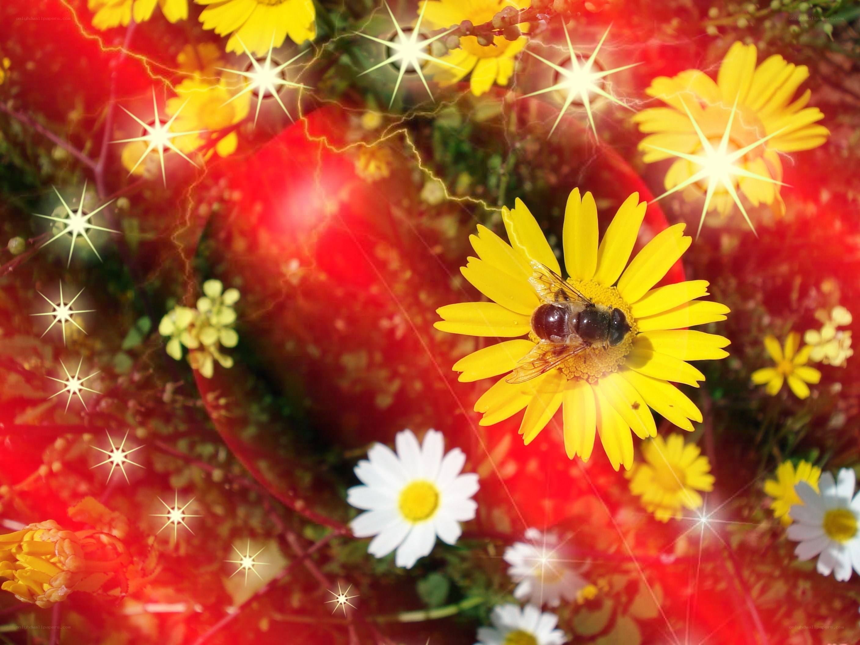 bee on yellow flower