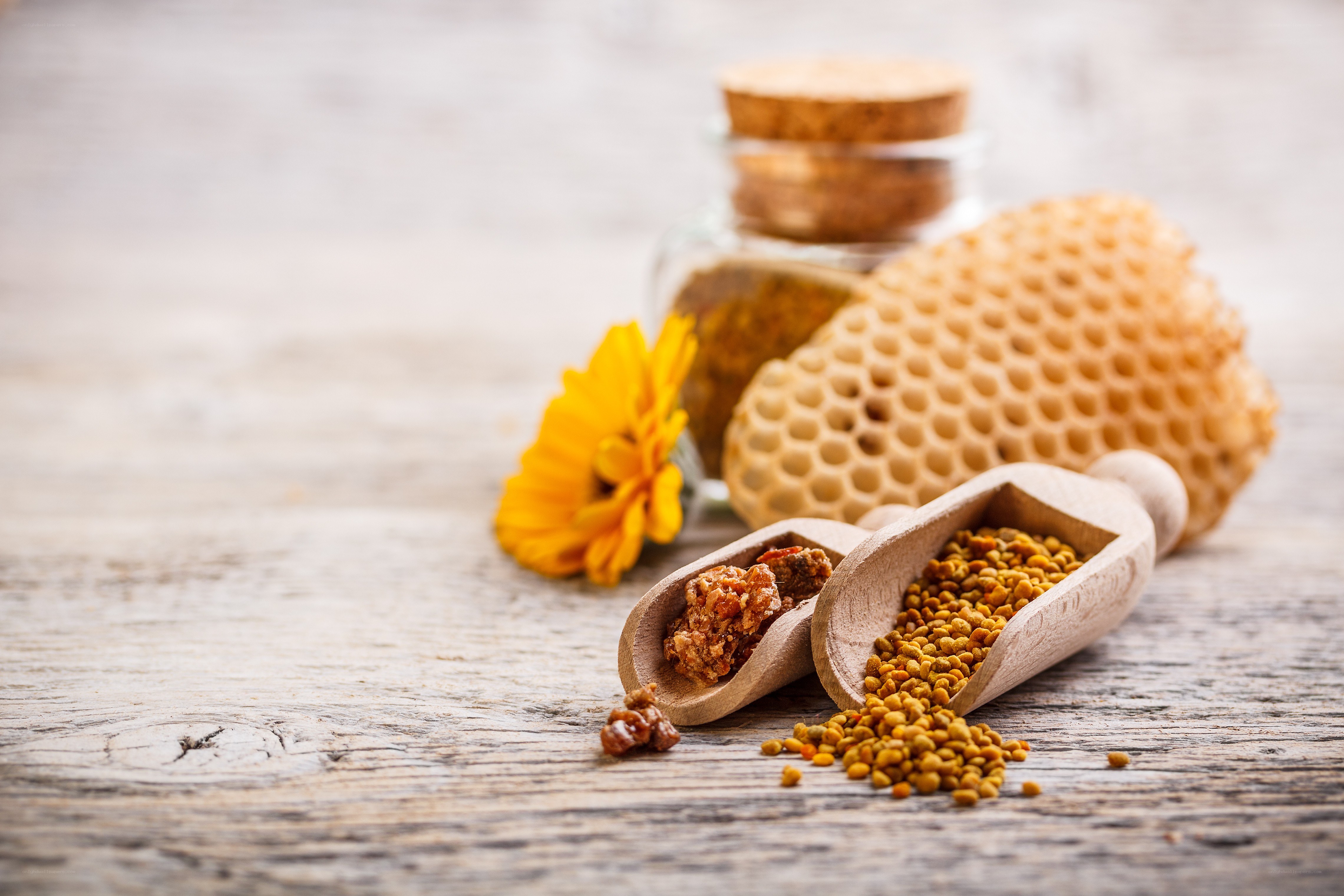 Bee pollen and honeycomb on wood
