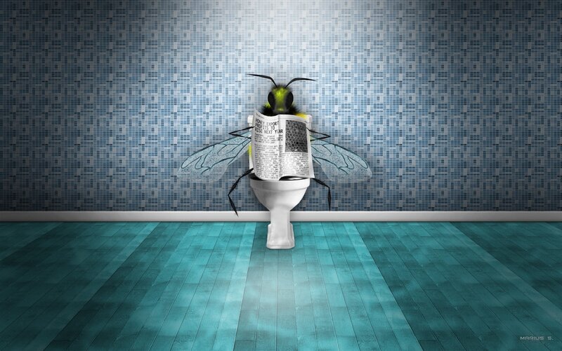 Bee Reading Newspaper