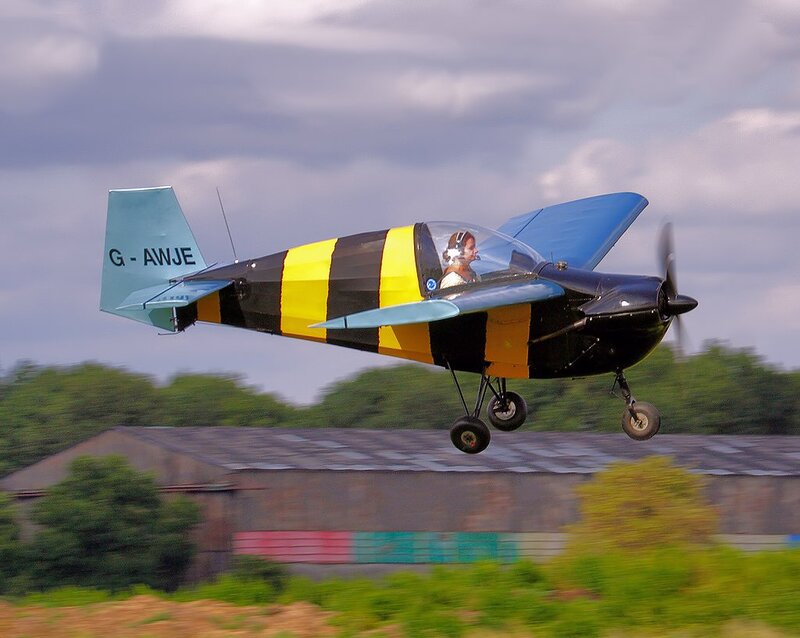 Bee-striped Airplane