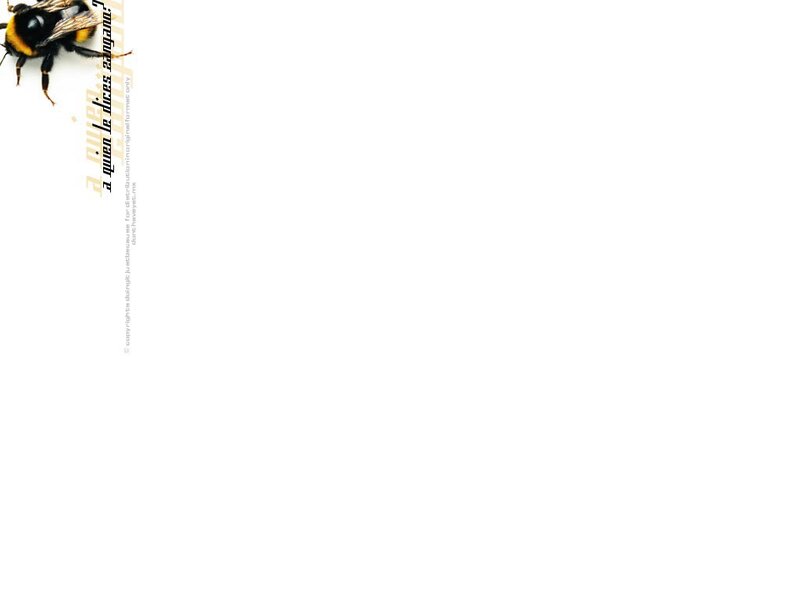 bee with text on white
