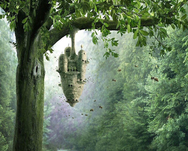 Beehive Castle in Forest
