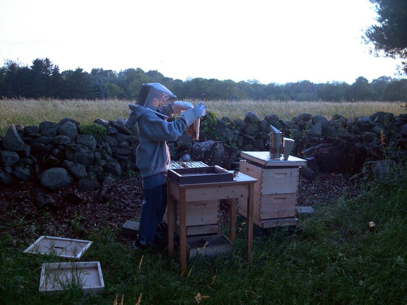 Beekeeper with Hive