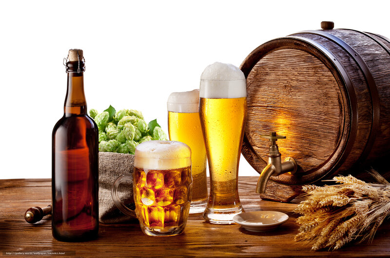 Beer and Brewing Ingredients — Brown, Calm, Photograph