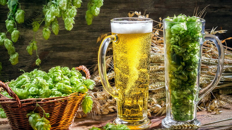Beer and Hops in Basket