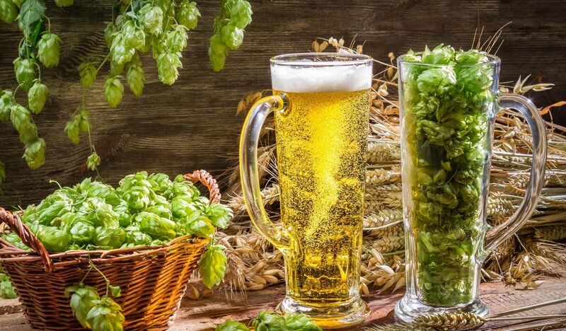 Beer and Hops on Wood