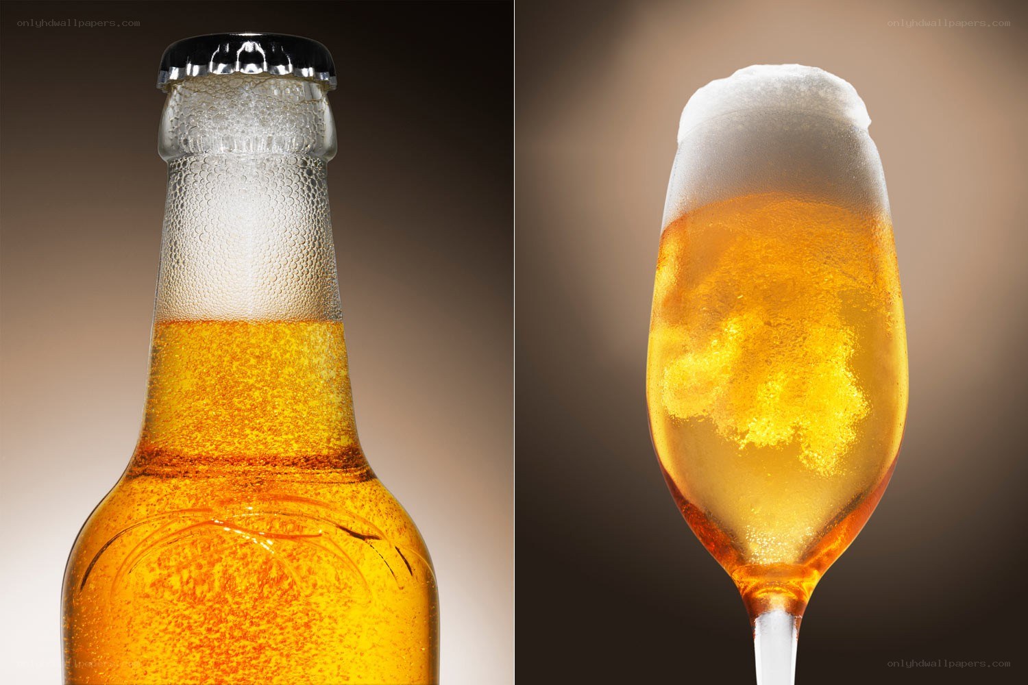 Beer bottle and glass