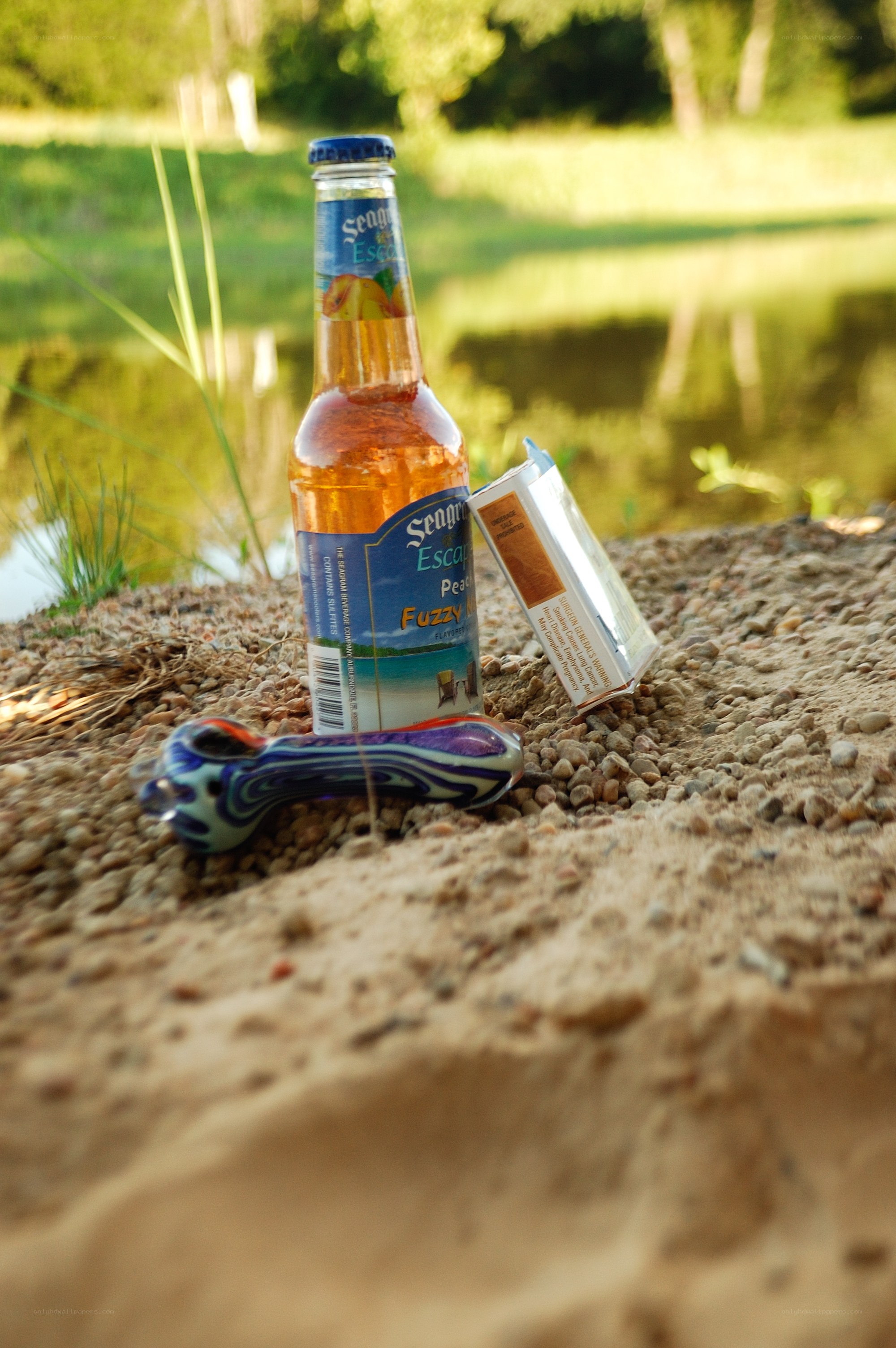 Beer bottle and pipe by a pond