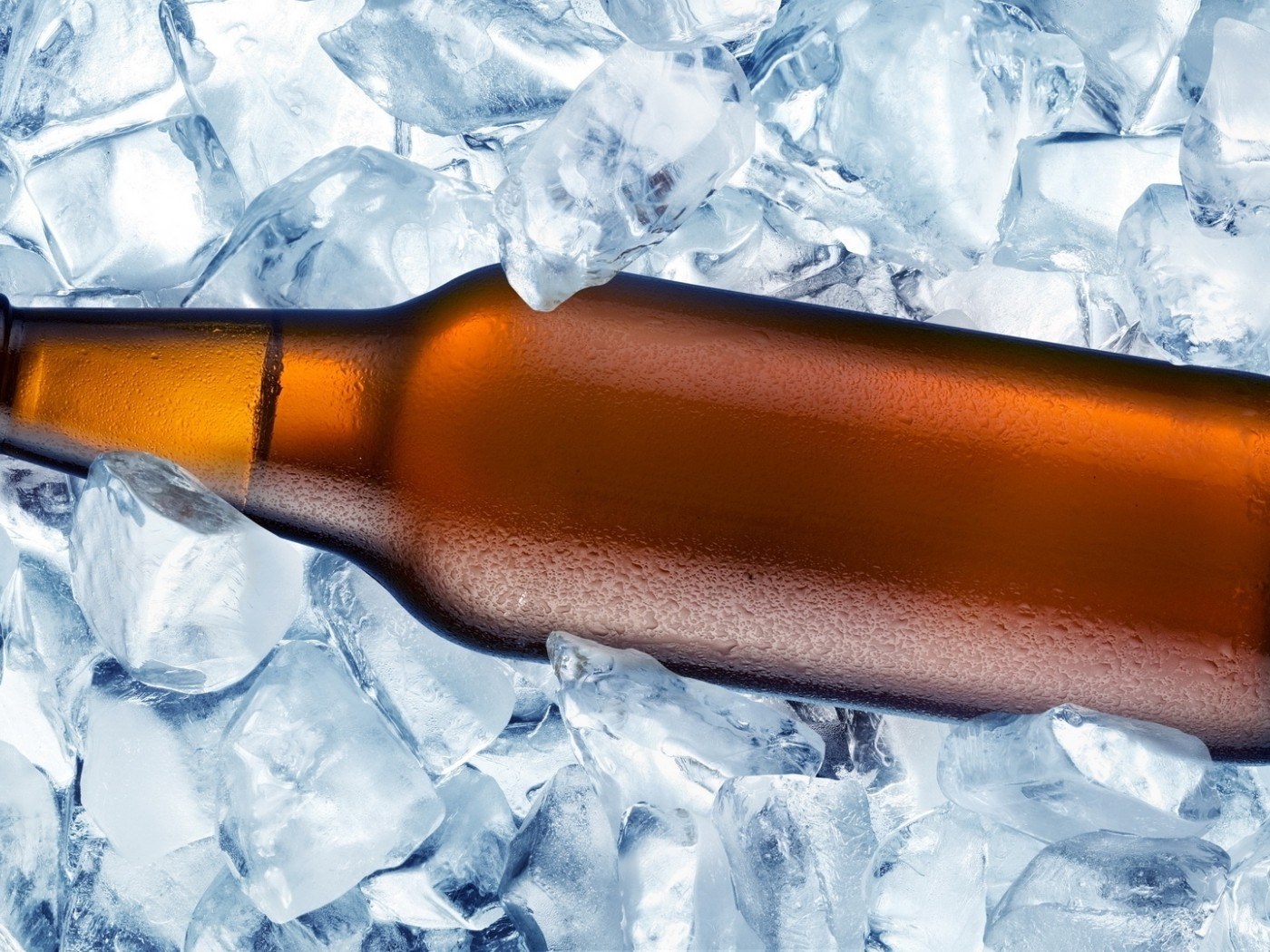 beer bottle in ice