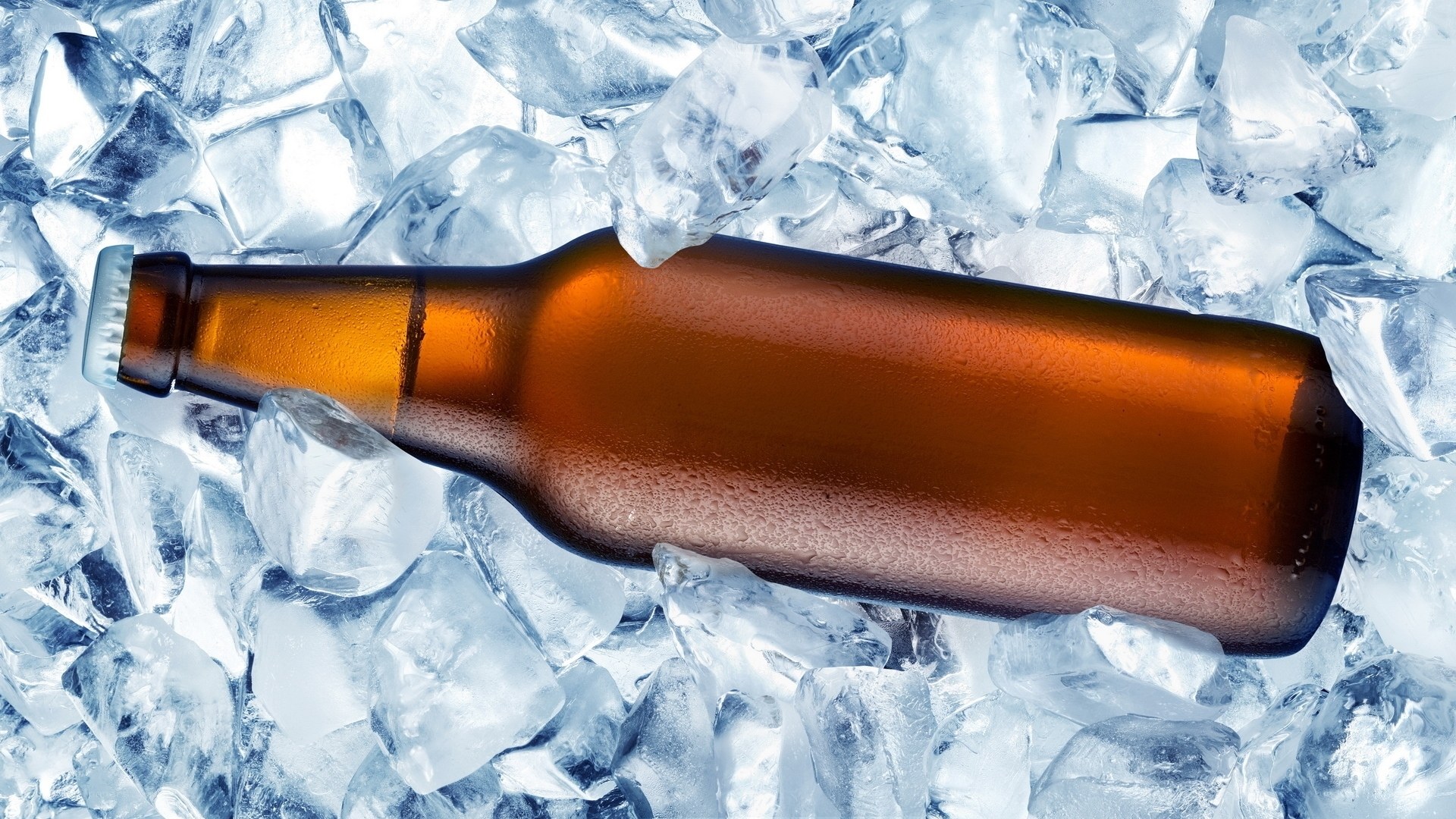 beer bottle in ice