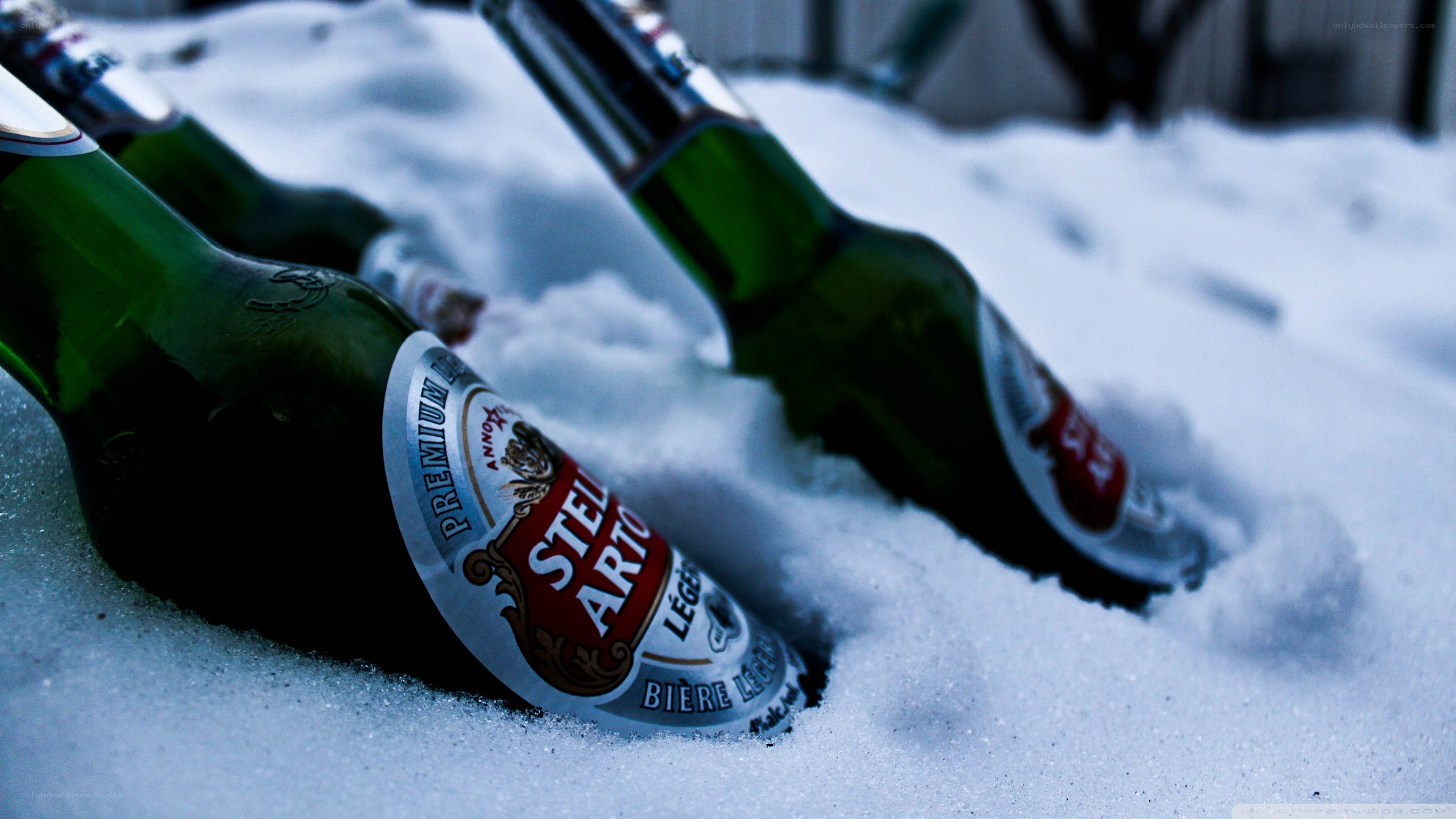 beer bottles in snow