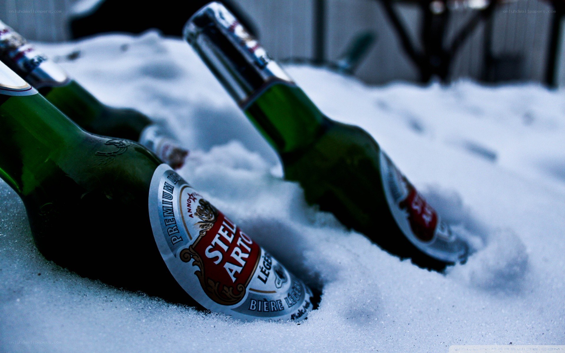 beer bottles in the snow