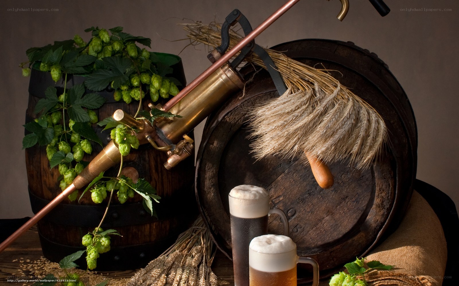 Beer brewing ingredients and equipment