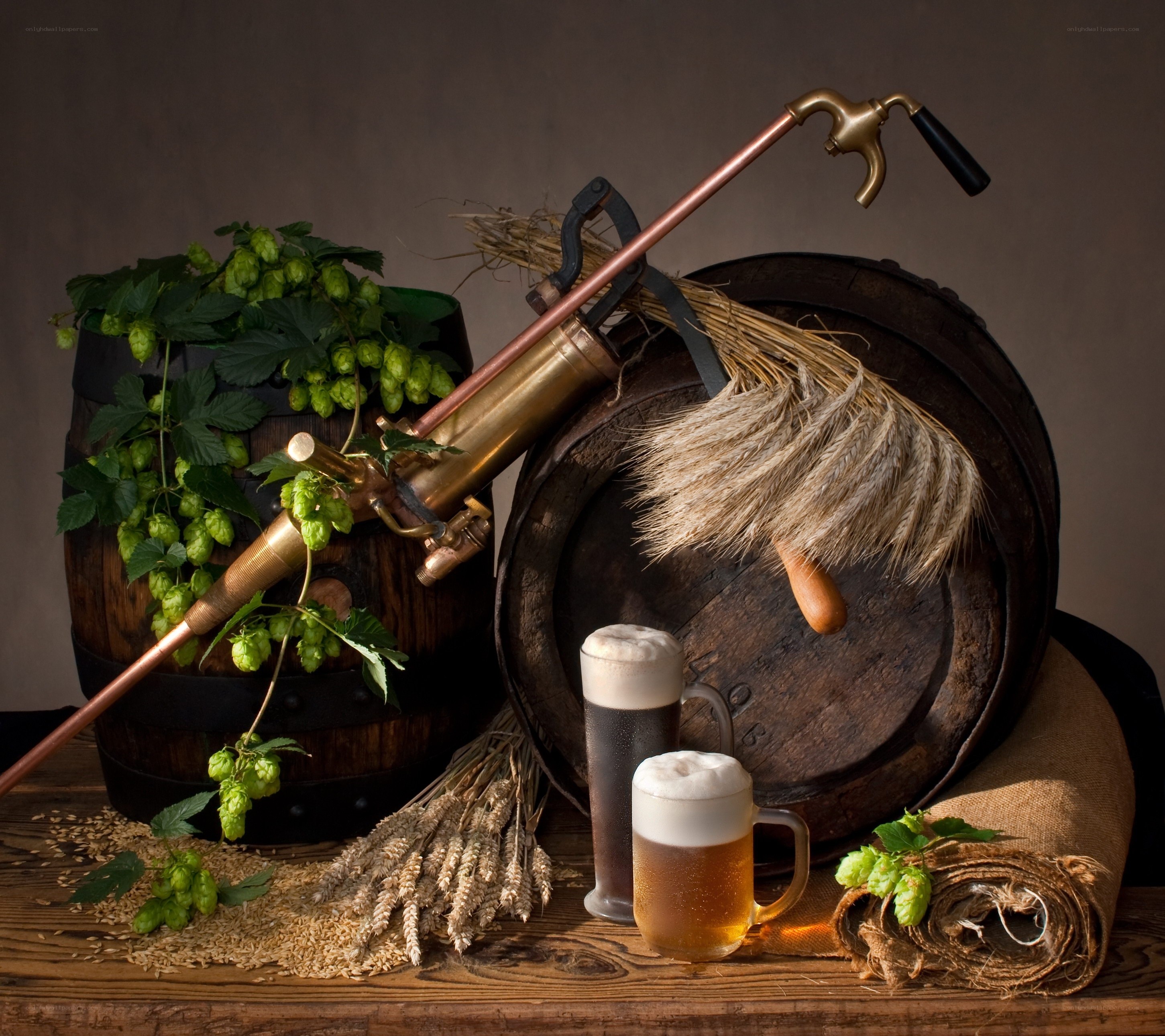 Beer brewing still life