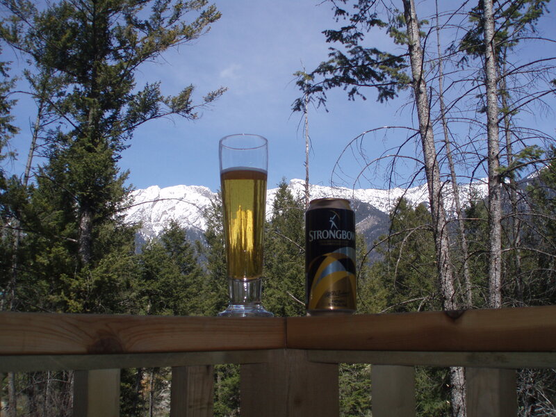 Beer Glass and Can