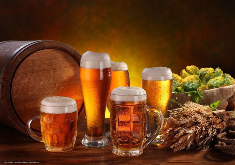 Beer glasses with hops and barley