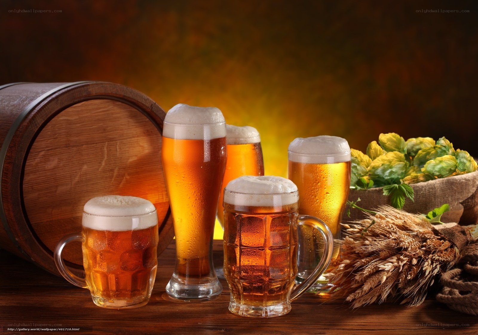 Beer glasses with hops and barley