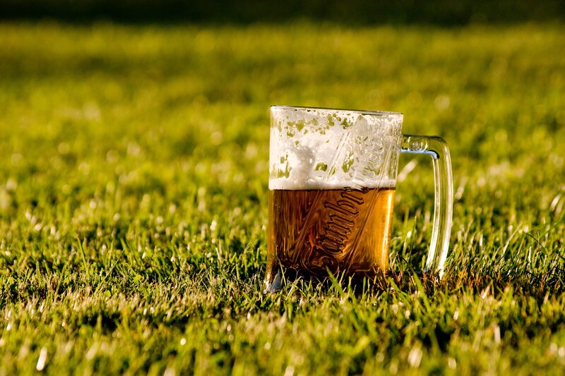 Beer mug on grass