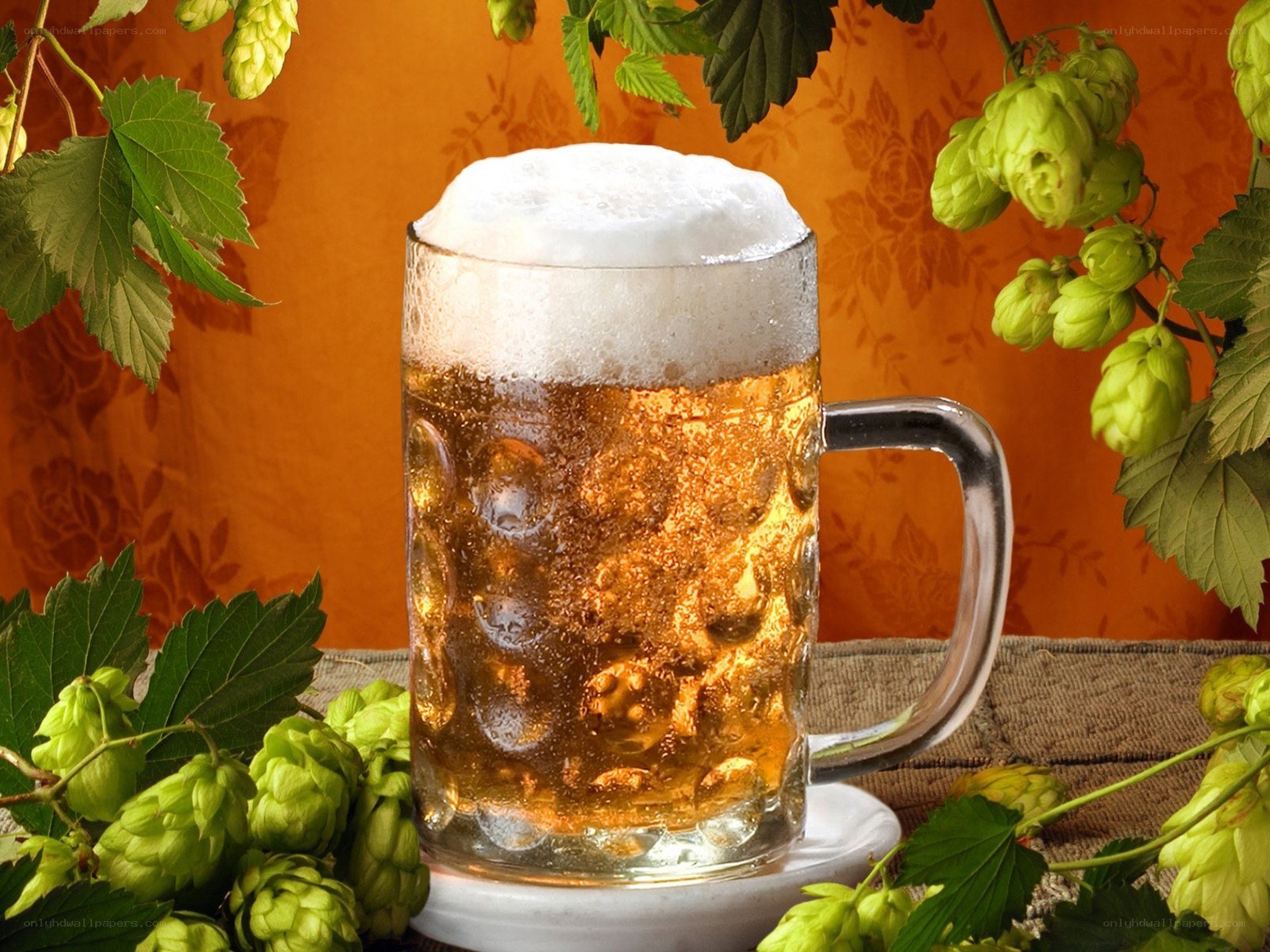 beer mug with hops