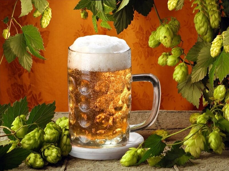 Beer Mug with Hops — Orange, Natural