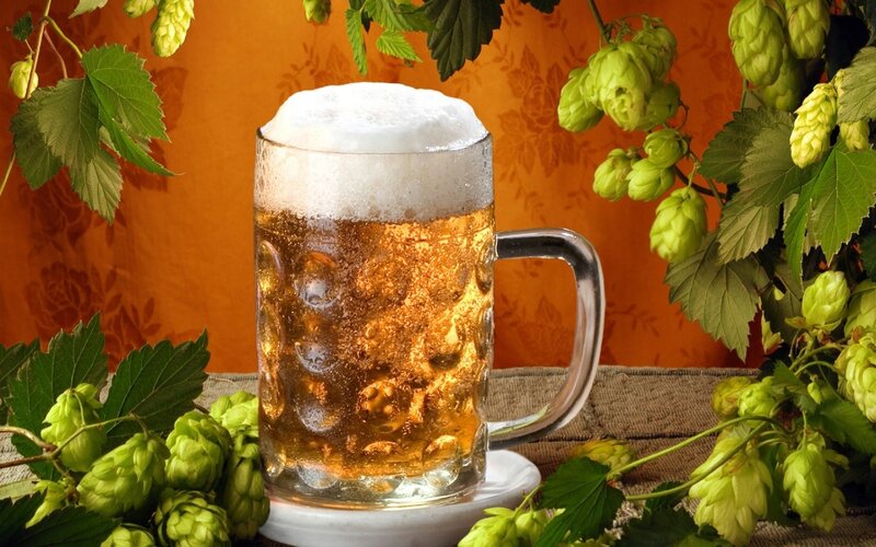 Beer Mug with Hops — Orange