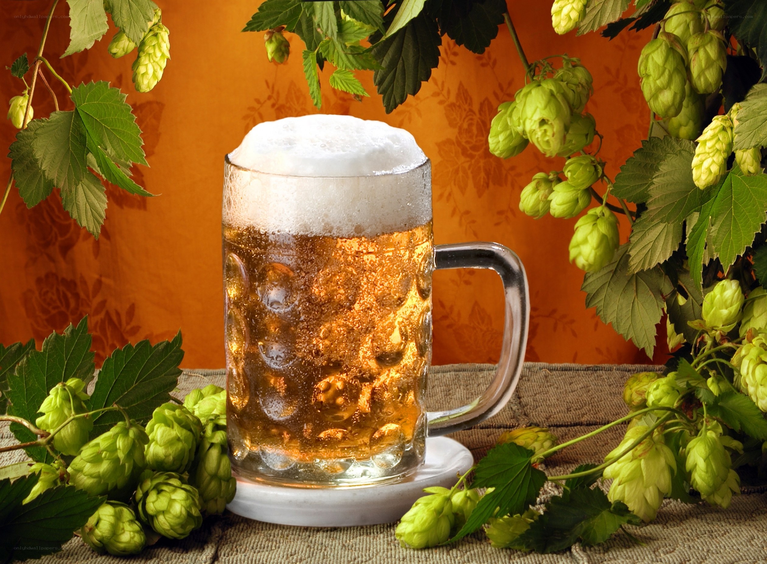 Beer with hop branches