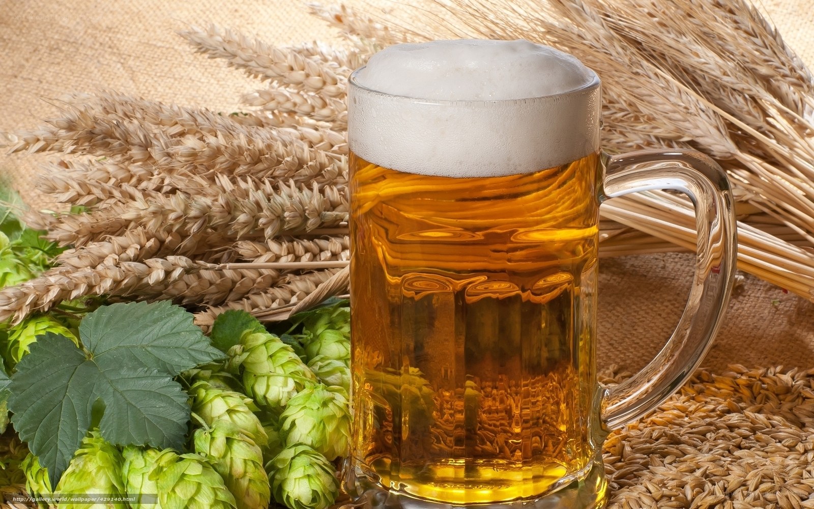 Beer with hops and wheat