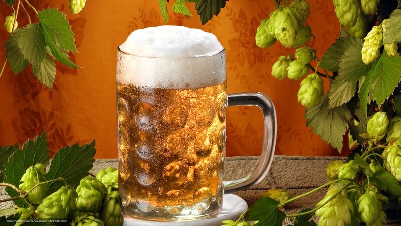 Beer with hops on table