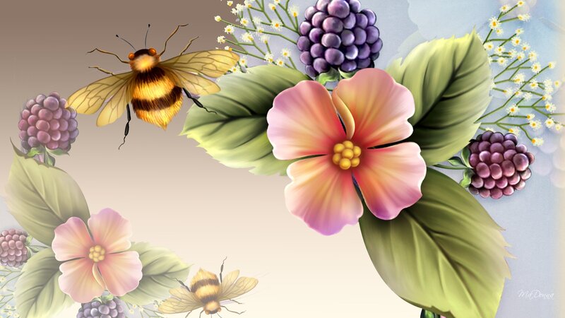 Bees and Flowers