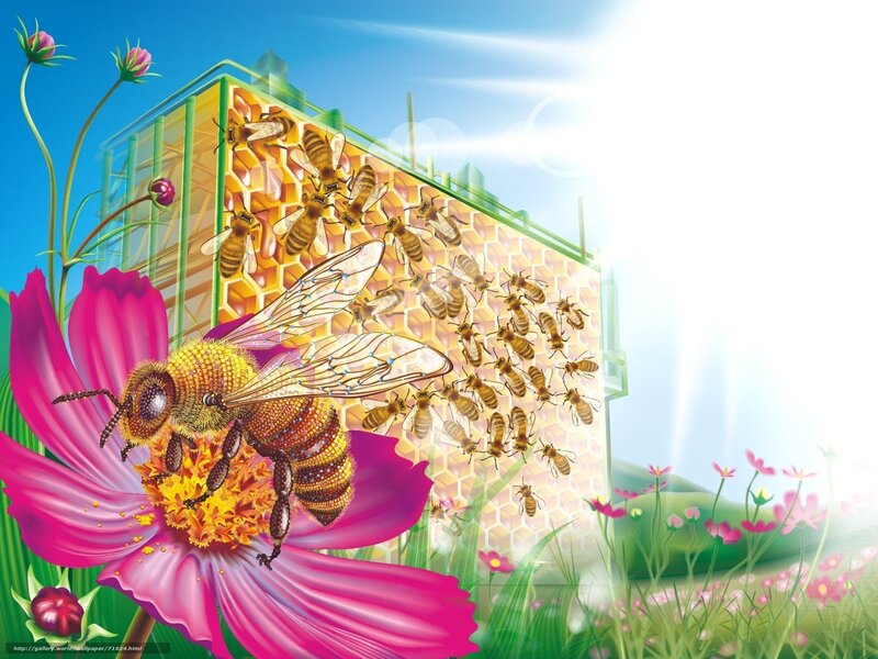 Bees and honeycomb in a sunny garden