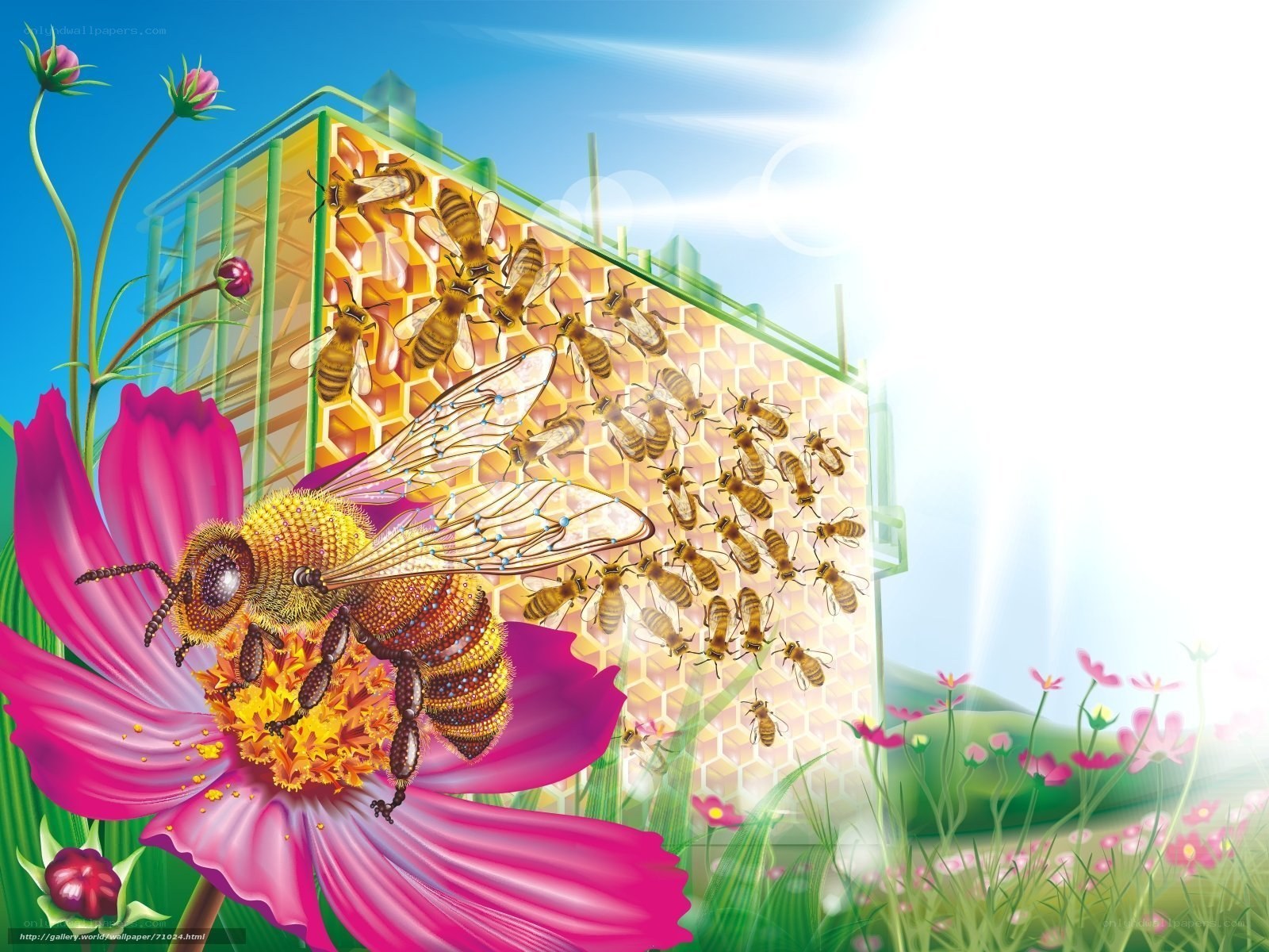 Bees and honeycomb in a sunny garden