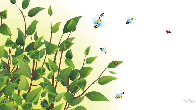 Bees and Ladybugs on Plants