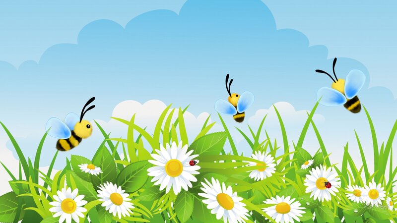 Bees Flying over Daisies