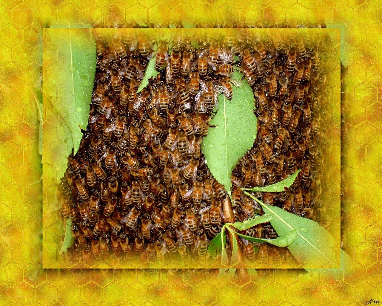 Bees on green leaves