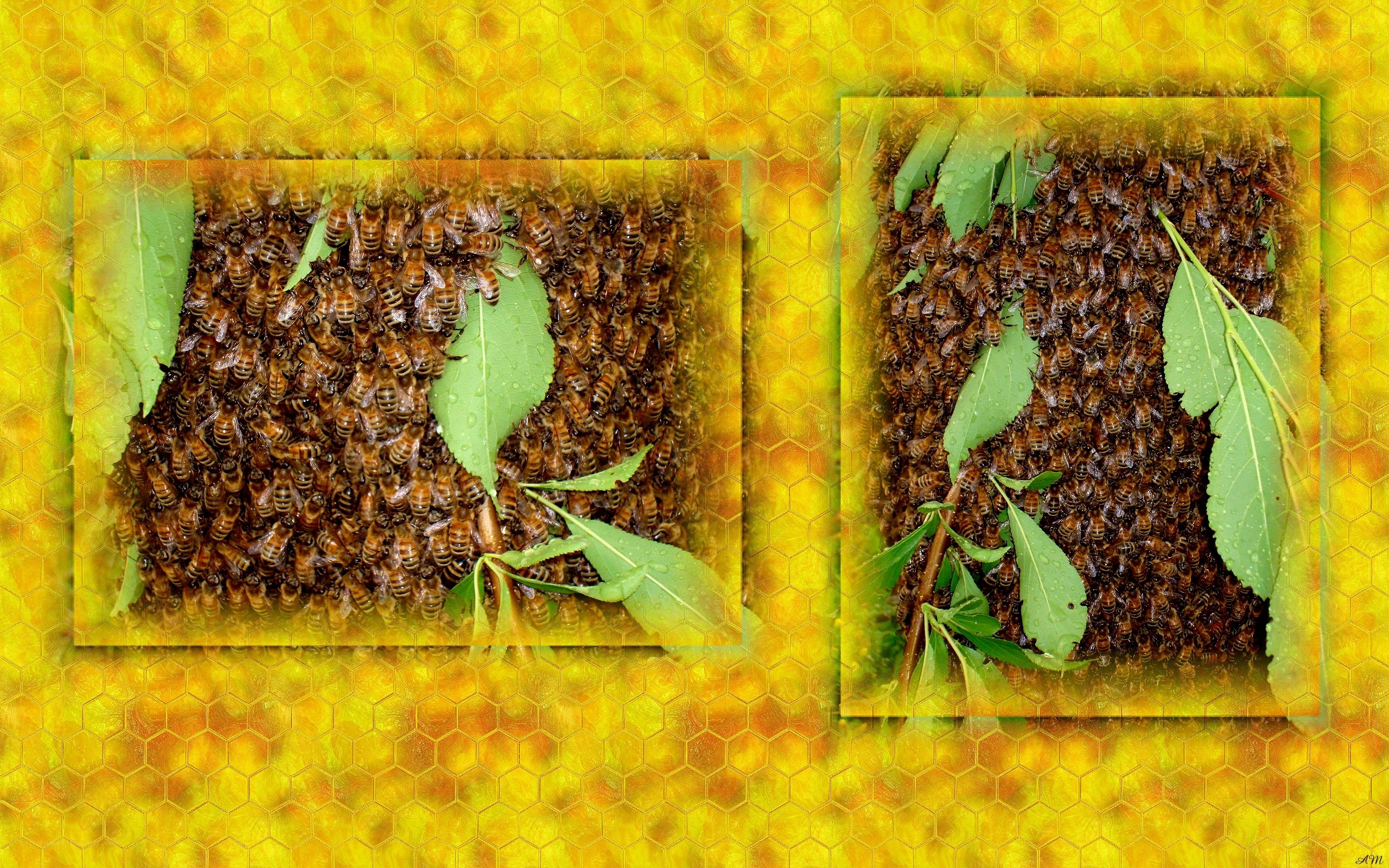 Bees on honeycomb with leaves