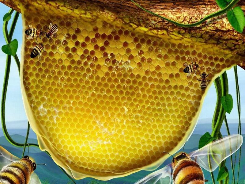 Bees on Honeycomb — Yellow