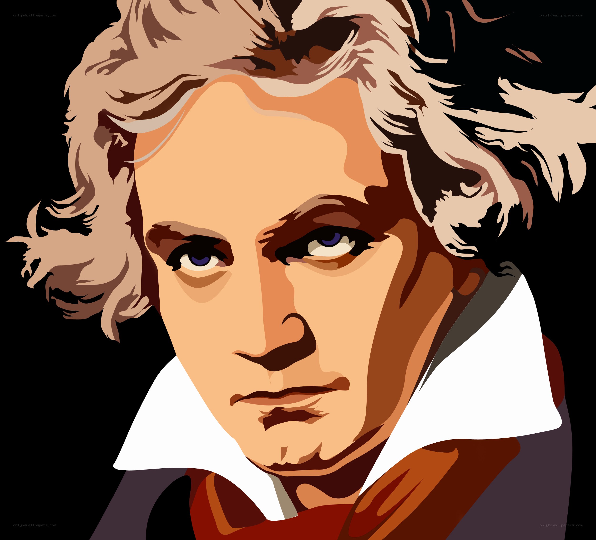 Beethoven portrait illustration