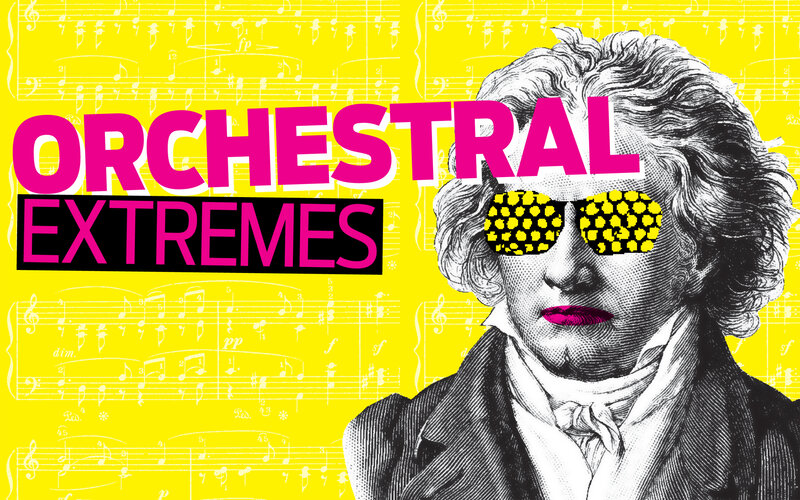 Beethoven with Sunglasses